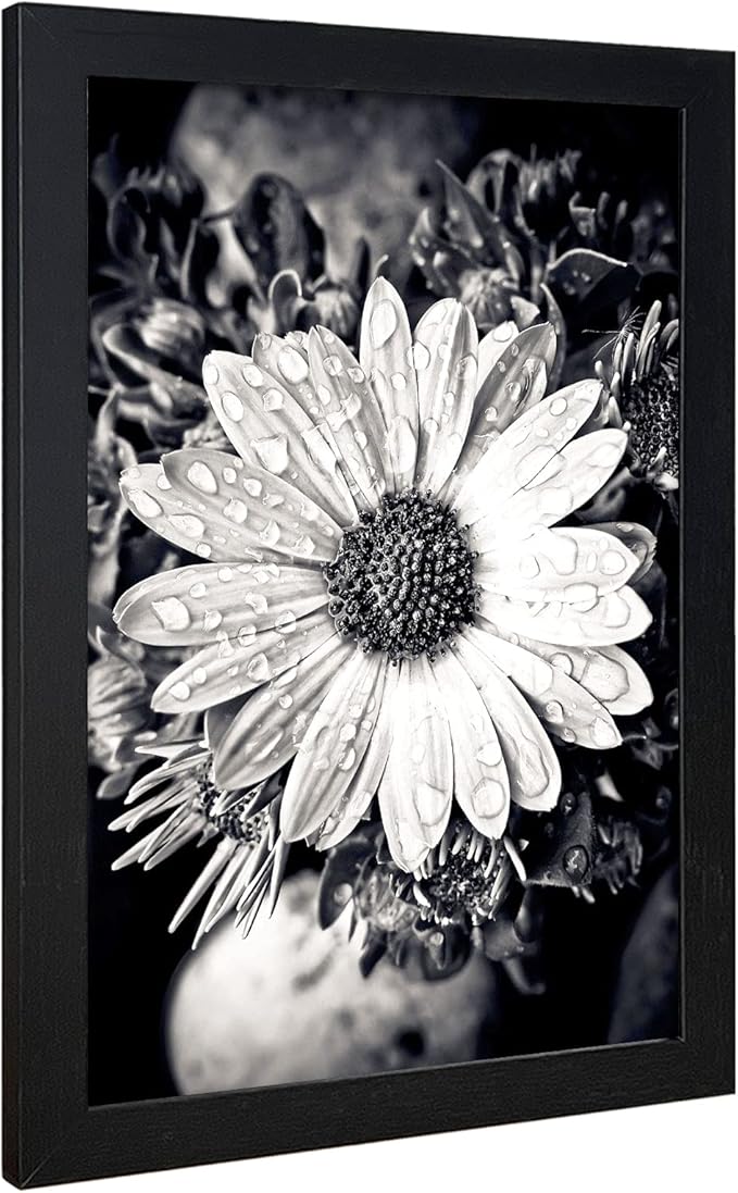 VCK Poster Frame 11x17 Set of 3, Wood Black Picture Frame, Wall Gallery Photo Frames, 3 Pack-Ruum Studio Home