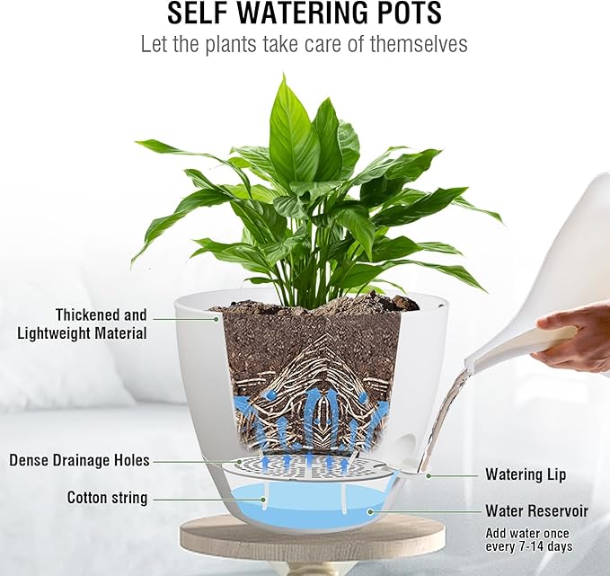 10 inch Self Watering Hanging Planters, 2 Pack Hanging Flower Pots for Indoor Outdoor Plants, Hanging Baskets with Drainage Holes & 2 Kinds of Plant Hangers for Garden Home Decor, White-Ruum Studio Home