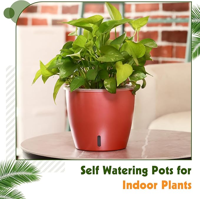 Self Watering Pots for Indoor Plants, 6-Pack 5'' Self Watering Planter with Drainage Holes, Small African Violet Pots with Water Indicator, Clear Wick Orchid Pot, Rose Gold-Ruum Studio Home