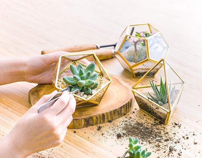 Mkono 4 Inches Mini Glass Geometric Terrarium Container Set of 3 Modern Tabletop Planter Shelves Decor Display Centerpiece for Succulent Miniature Fairy Garden Air Plant, Gold (Plant Not Included)-Ruum Studio Home