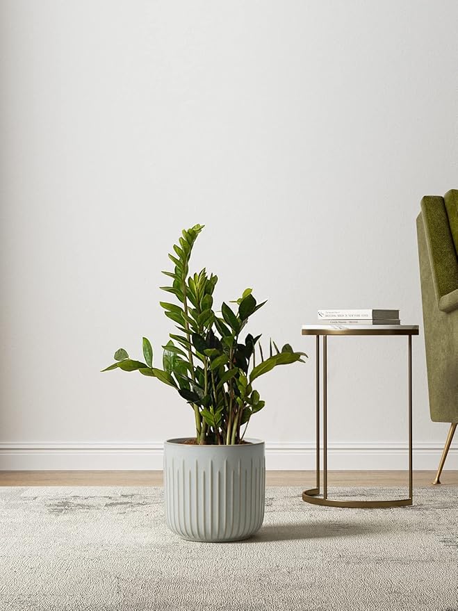 LE TAUCI Fluted Ceramic Planters Set of 3 – 8.3/7 / 5.7 in Star White Reactive Cylinder Indoor Plant Pots with Drainage Plug & Mesh, Glossy Stoneware Flower Pots for Succulents Herbs-Ruum Studio Home