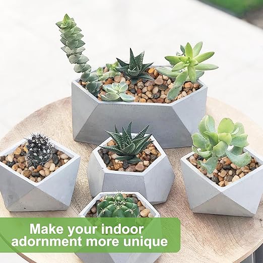 5 lbs Drainage Rocks for Potted Plants, 1/5 Inch Small Pebbles for Indoor Plants, Decorative Gravel for Vases, Bamboo, Succulent, Terrarium, Crafts, Cactus-Ruum Studio Home