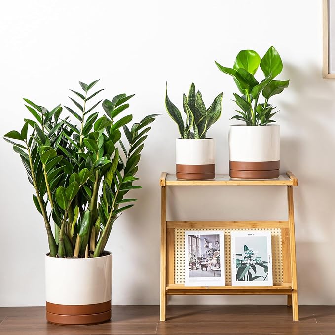 vancasso Ceramic Pots for Plants, Plant Pots for Indoor Plants, 6.25+8.25+10.25 Inch Ceramic Planters, Flower Pots with Drainage Holes, Planters Pot for Indoor House Plant, Set of 3, Khaki-Ruum Studio Home