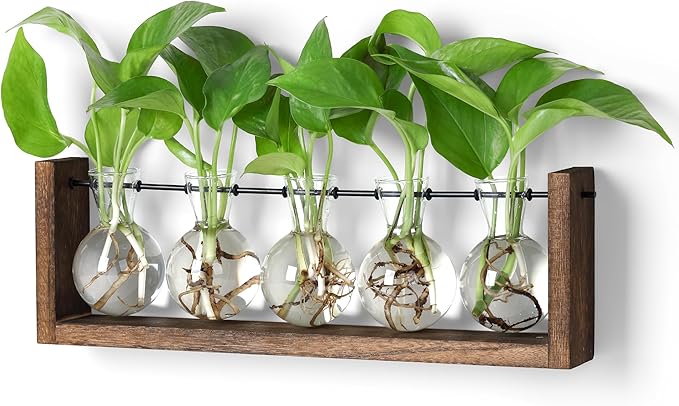 YIBOT Plants Propagation Stations,Plant Terrarium with Wooden Stand,Wall Hanging Glass Planter Plant Propagation Vase for Indoor Office Home Garden Decor Plant Lover Gifts for Women-5 Bulbs-Ruum Studio Home