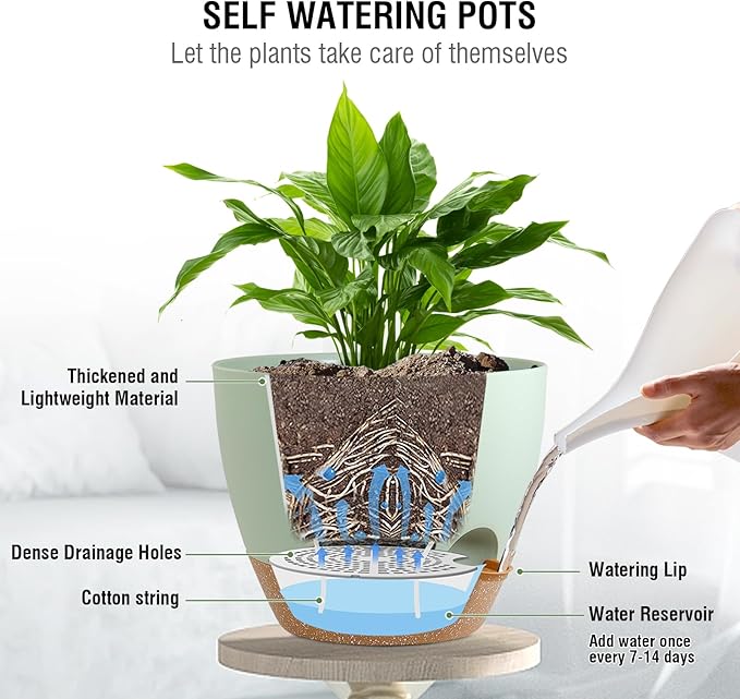 10 inch Self Watering Hanging Planters for Indoor Plants, 2 Pack Hanging Baskets for Outdoor Plants, Hanging Flower Pots with Drainage Holes & 2 Kinds of Plant Hangers for Home Decor, Green-Ruum Studio Home