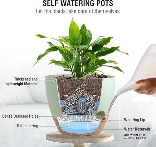 10 inch Self Watering Hanging Planters for Indoor Plants, 2 Pack Hanging Baskets for Outdoor Plants, Hanging Flower Pots with Drainage Holes & 2 Kinds of Plant Hangers for Home Decor, Green-Ruum Studio Home