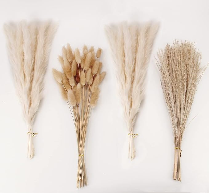 Natural Dried Pampas Grass Decor, White Pampas Grass， Bunny Tails Dried Flowers, Reed Grass Bouquet for Wedding Boho Flowers Home Table Decor, Rustic Farmhouse Party (100 in Total )-Ruum Studio Home