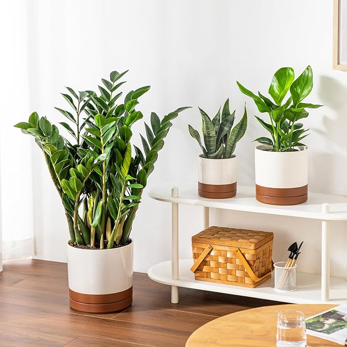 vancasso Ceramic Pots for Plants, Plant Pots for Indoor Plants, 6.25+8.25+10.25 Inch Ceramic Planters, Flower Pots with Drainage Holes, Planters Pot for Indoor House Plant, Set of 3, Khaki-Ruum Studio Home