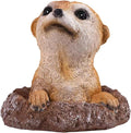 Meerkat Statue - Charming Meerkat Garden Animal Statue: Lifelike Decor Accent for Your Yard or Patio - Add Personality to Your Outdoor Space-Ruum Studio Home