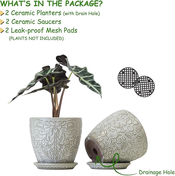 6 Inch Ceramic Planter Pots with Drainage Hole and Saucers for Indoor Plants, Garden Pots for Succulent, Orchid, and Flower - Set of 2-Ruum Studio Home