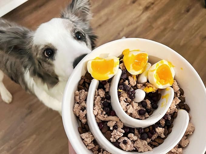 Slow Feeder Dog Bowls - 3-Cup Raised Ceramic & Wood Stand for Medium-Large Breed, White-Ruum Studio Home