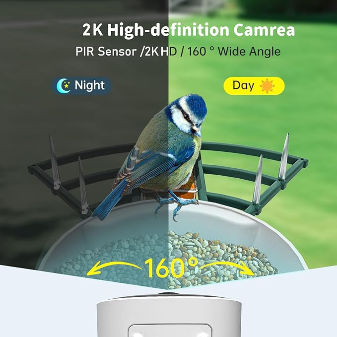Smart Bird Feeder with Camera Solar Powered & AI Bi rd Identification, 2.4Ghz WiFi Bird feeders for Outdoors, 2K Live Video, Nstant Arrival Alerts - Best Gifts for Bi rd Lovers - Green-Ruum Studio Home