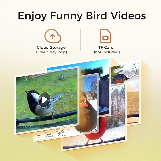 TT Nature Smart Squirrel-Proof Bird Feeder with Camera 2K, Solar Powered, AI Bird Species Recognition, Instant Notification, CCPA Data Security, Bamboo 3.2L Large Capacity, Ideal Gift-Ruum Studio Home