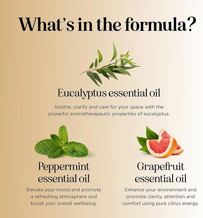 Focus Essential Oil Blend for Diffusers - Aromatherapy Essential Oils Blend for Home and Travel Energy Focus and Attention Support with Grapefruit Bergamot Peppermint and Eucalyptus (2 Fl Oz)-Ruum Studio Home