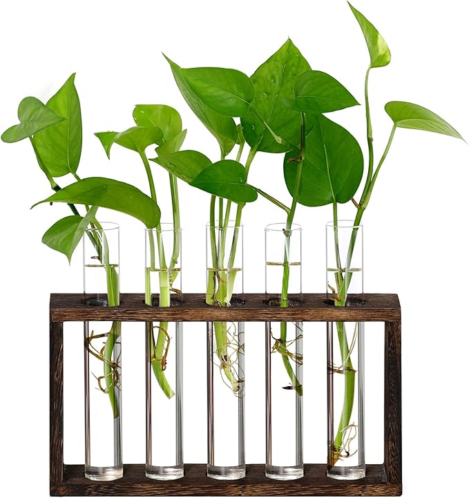 XXXFLOWER Wall Hanging Terrarium Planter with 5 Test Tubes,Wall Planters for Indoor Plants,Plant Lover Gifts for Women Garden Office Decoration-Ruum Studio Home