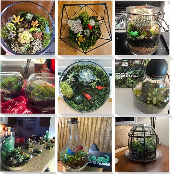 Cute Farms Terrarium Starter Kit | Moss, Vermiculite, Soil, Pebbles, Plant Food, Finishing Tools, Build and Care Guide | DIY Succulent Terrarium for Adults and Kids (Large + Live Plants)-Ruum Studio Home