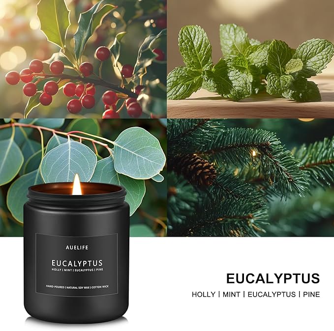 Eucalyptus Candle | Eucalyptus Scented Candles, Eucalyptu Leaf Fragrance for Indoor & Outdoor, Summer Candle Gifts, Natural Soy Candles for Home Scented - 7oz, 50 Hours Burn Time-Ruum Studio Home