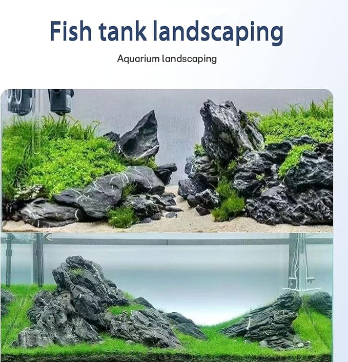 Dragon Stone Aquarium Rock Seiryu Stone for Aquariums, Fish Tanks, Bonsai, Terrariums, Wargaming Dioramas, Indoor or Outdoor Gardens-40Lb(2-10 Inch)-Ruum Studio Home