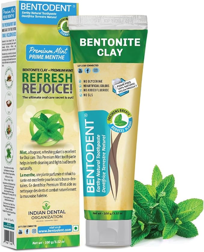 Bentodent Remineralizing Food Grade Organic Calcium Bentonite Clay Toothpaste Fluoride Free Natural Toothpaste for Adult & Kids - Mineral Toothpaste Sensitive Teeth Whitening (Premium Mint)-Ruum Studio Home