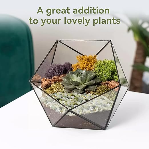 5LB Succulent and Cactus Pebbles, 1/5 Inch Jade Pebbles for Indoor Plants, Decorative Gravel for Vases, Bamboo, Succulent, Terrarium, Crafts, Cactus-Ruum Studio Home