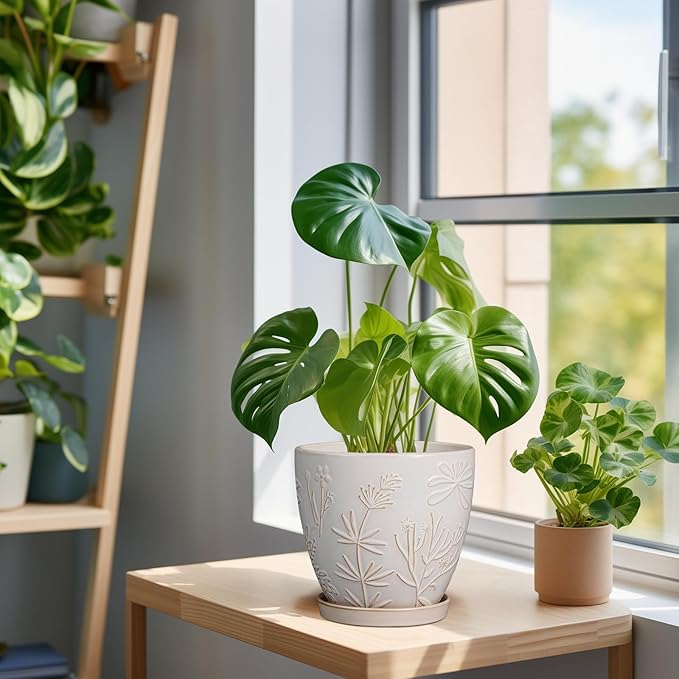 6.9 Inch Ceramic Plant Pot for Indoor Plants Outdoor Round Planter Flower Pot with Drainage Hole and Saucer for Home Garden Office Decor White-Ruum Studio Home