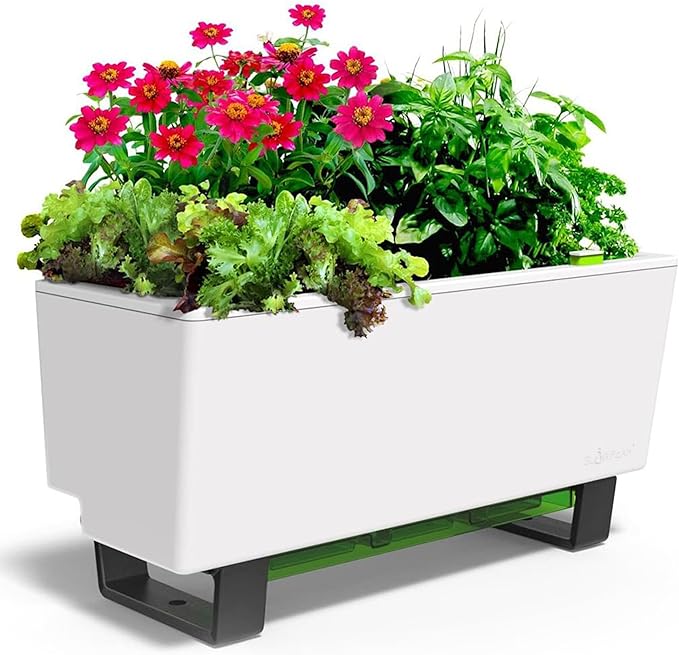Glowpear Self-Watering Mini Bench Planter - 23.6" in Pot, Free Standing, UV Stable, Scalable, Indoor | Outdoor Pot with Water Gauge, for Home Kitchen Windowsill Gardening-Ruum Studio Home