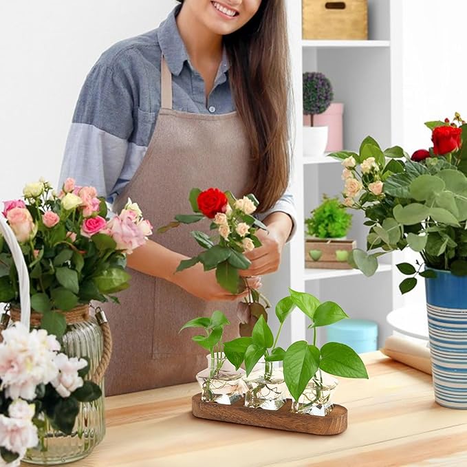 XXXFLOWER Plant Propagation Station with Wooden Stand，Air Plant Terrarium Starter Kits Star Vases for Flowers Plant Cutting Rooting Pots Indoor Hydroponic Glass Planter for Plant Lovers,3 Jars-Ruum Studio Home