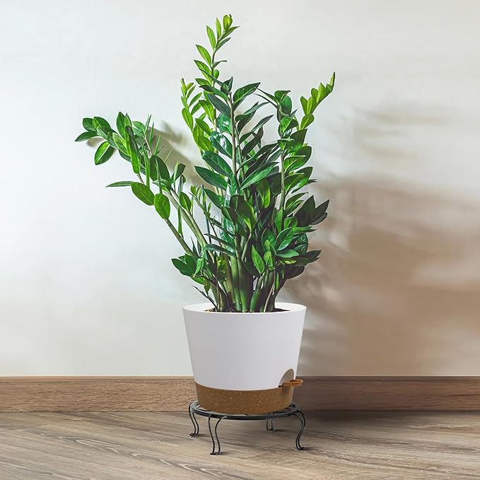 Self Watering Pots for Indoor Plants,12 inch Planters with Drainage Holes Plastic Flower Pots with Deep Reservoir, White with Brown-Ruum Studio Home