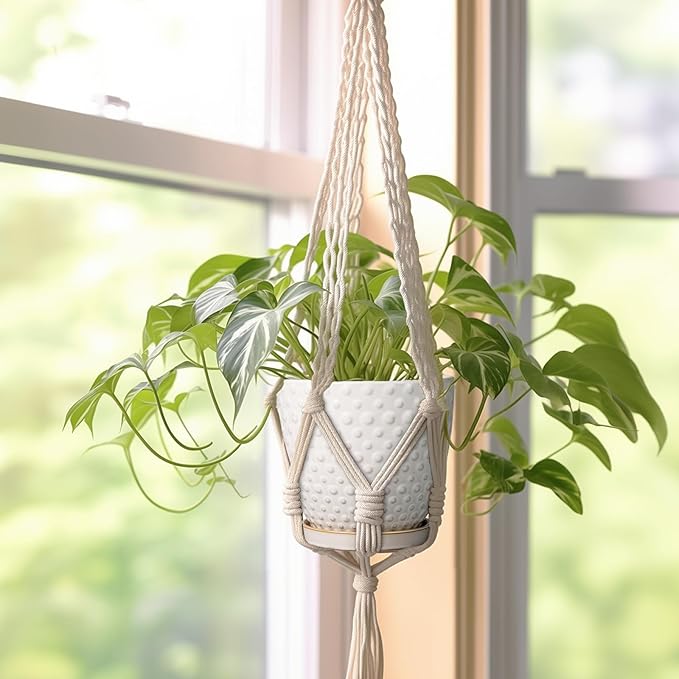 G EPGardening 6 Inch Ceramic Plant Pot with Drainage Hole and Saucer Round Planter Decorative Flower Plant Pot for Indoor Plants Outdoor White-Ruum Studio Home