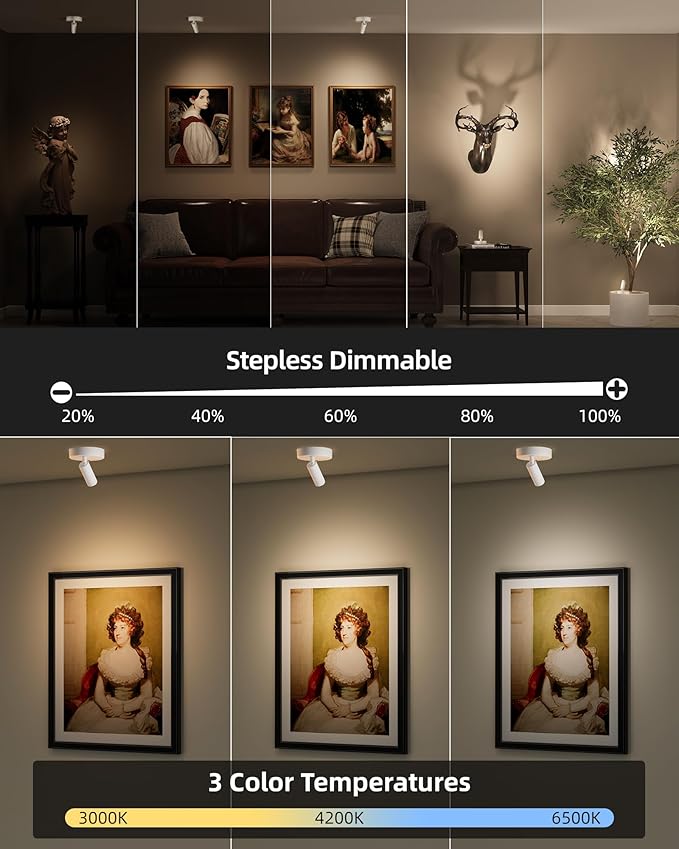 EZVALO Battery Powered LED Spotlight Indoor, Wireless Picture Lights with Remote,5500mAh Rechargeable Mini Display Light, Uplighting Indoor for Artwork Tree Painting Portrait (white-1Pack)-Ruum Studio Home