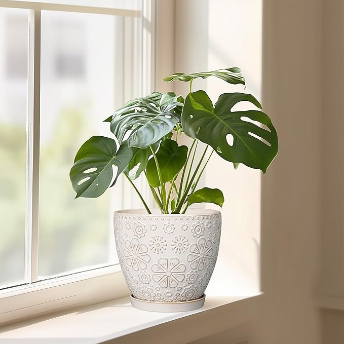 Ceramic Planter 8 Inch Plant Pot with Drainage Hole and Saucer Ceramic Pots for Indoor Plants Outdoor Large Flower Pot for Home Decor White-Ruum Studio Home