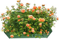 4x4x1ft Metal Raised Garden Bed Kit，Galvanized Garden Bed Box for Vegetables, Flowers, Herbs, and Succulents,120 Gallon Capacity - Green-Ruum Studio Home