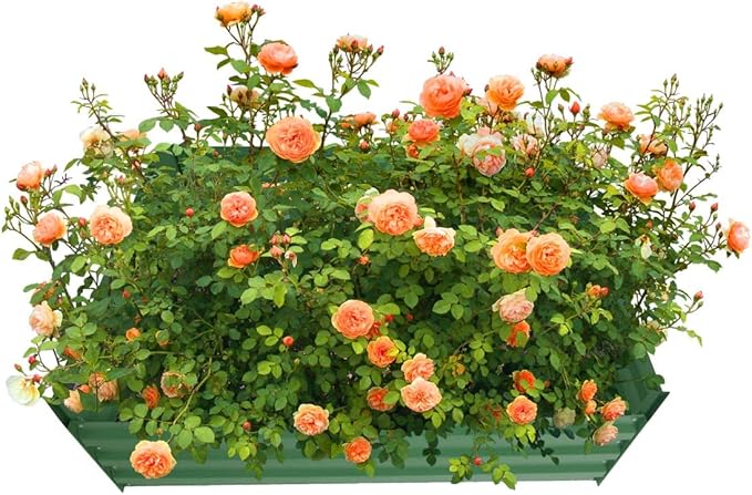 4x4x1ft Metal Raised Garden Bed Kit，Galvanized Garden Bed Box for Vegetables, Flowers, Herbs, and Succulents,120 Gallon Capacity - Green-Ruum Studio Home