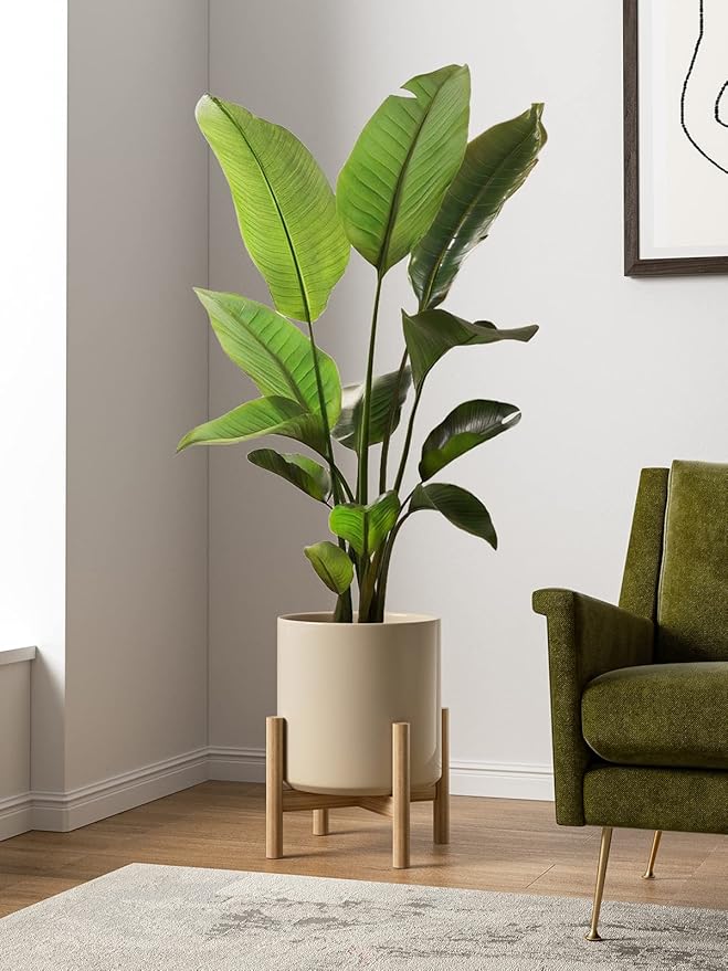 LE TAUCI 12 Inch Pots for Plants, Ceramic Large Plant Pot for Indoor Plants, Mid-Century Modern Flower Planter Pots with Drainage Hole and Removable Plug, Round Planter Pot, Reactive Glaze Cloud Cream-Ruum Studio Home
