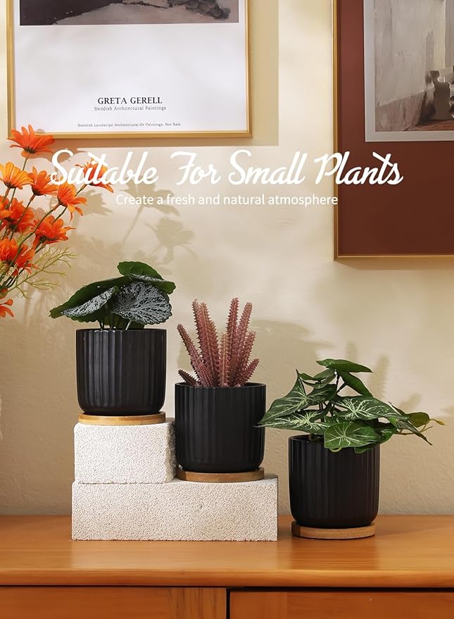 TAMAYKIM 4 Inch Small Cylinder Ceramic Plant Pots with Drainage Holes, Modern Indoor Planters with Tray for Aloe, Succulent, Snake Plants, Cactus & Herbs, Black, Set of 4-Ruum Studio Home