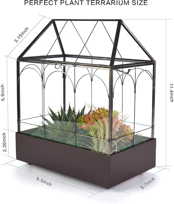 Large Tall Glass Plant Terrarium – House Succulent Terrarium Kit with Lip and Tray Glass Greenhouse Terrarium for Plant 9.5”X5.7”X11.4”-Ruum Studio Home