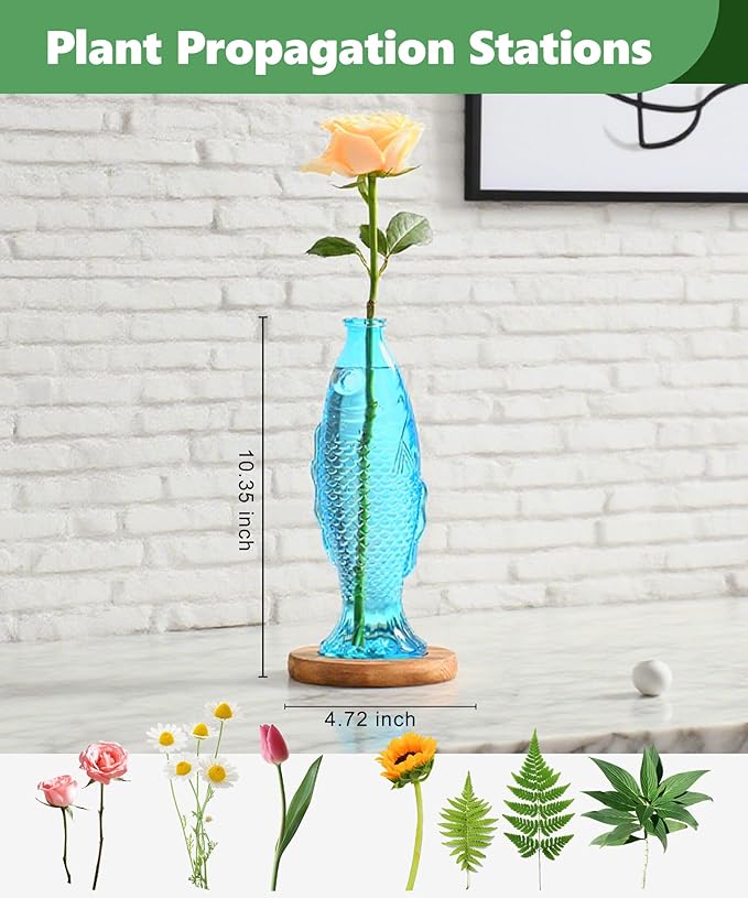 Nacome Fish Vase Glass Plant Terrarium with Wooden Stand,Planter Propagation Station for Home Office Hydroponics Desk Decoration,Unique Gardening Gifts for Plant Lovers Women Mom(Blue)-Ruum Studio Home