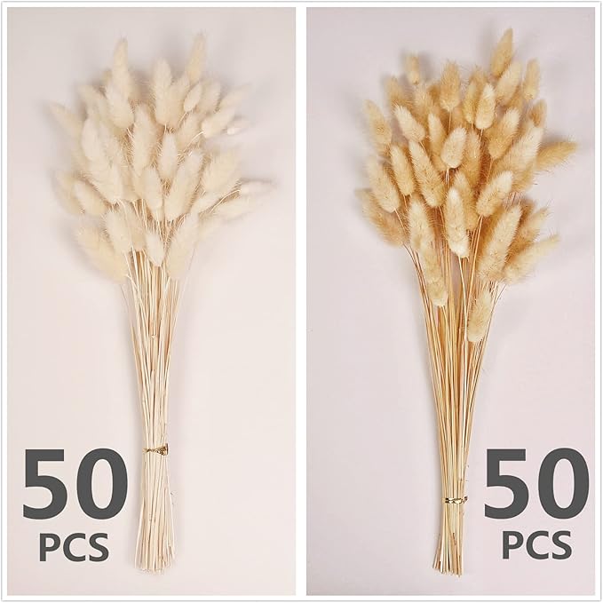 120 PCS Bunny Tails Dried Flowers, Dried Pampas Grass Bouquet, Boho Table Decor, White Pampas Grass Small, Dried Bunny Tails, Pampas Grass for Wedding, Home, Rustic Party, Baby Shower Decorations-Ruum Studio Home