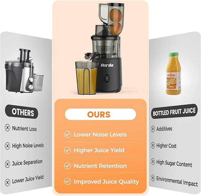 Slow Cold Press Juicer Machines: Masticating Cold Pressed Compact Juicer For Vegetable And Fruit Easy To Clean, Silver Grey-Ruum Studio Home