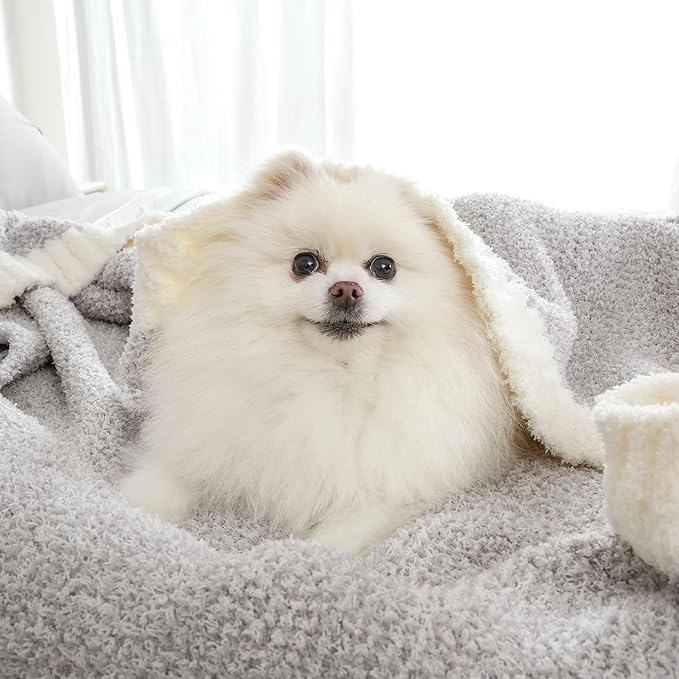 Snuggle Sac Queen Size Bedding Blanket Grey Color, Super Soft Warm Blankets for Bed, Living Room, Luxurious Microfiber Blanket Dupes, Heather Grey, 90x90 inches-Ruum Studio Home