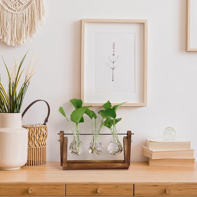 YIBOT Propagation Stations,Plant Terrarium with Retro Wooden Stand, Unique Gardening Birthday Gifts for Women Plant Lovers, Hydroponics Plants Home Office Garden Decor - 3 Bulb Glass Vases-Ruum Studio Home
