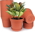homenote Pots for Plants, 15 Pack 6 Inch Plastic Planters with Multiple Drainage Holes and Tray - Plant Pots for All Home Garden Flowers Succulents (Terra Cotta)-Ruum Studio Home