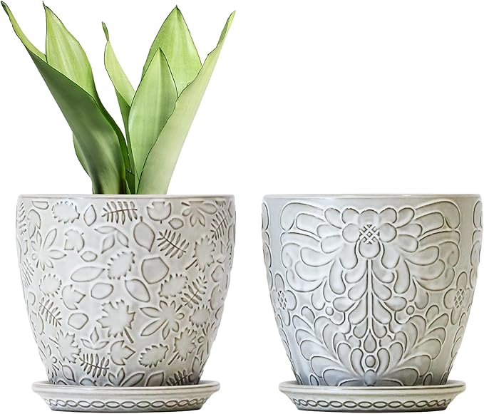 6 Inch Ceramic Planter Pots with Drainage Hole and Saucers for Indoor Plants, Garden Pots for Succulent, Orchid, and Flower - Set of 2-Ruum Studio Home