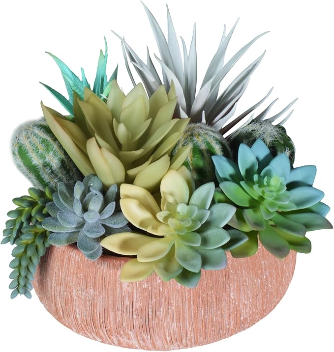 Premium Assorted Artificial Succulent Collection - Large Real Touch Artificial Cactus, Aloe Vera & Succulent Plants Artificial with Pots for Home Office Indoor (Artificial Coconut Shell - Pot)-Ruum Studio Home