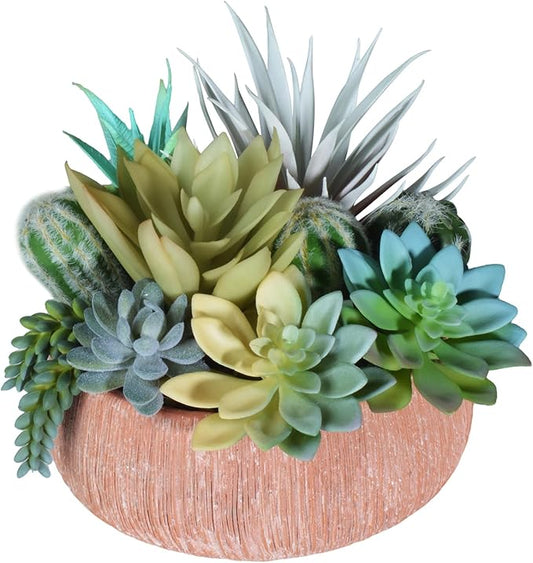 Premium Assorted Artificial Succulent Collection - Large Real Touch Artificial Cactus, Aloe Vera & Succulent Plants Artificial with Pots for Home Office Indoor (Artificial Coconut Shell - Pot)-Ruum Studio Home