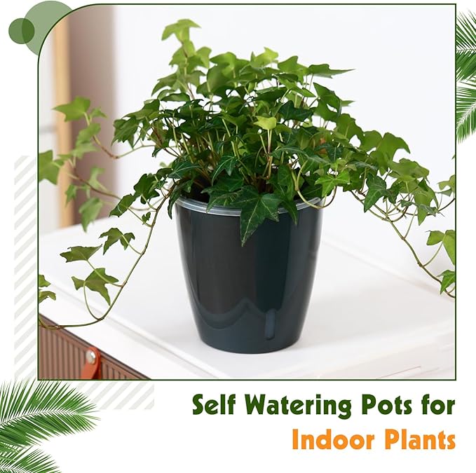 Self Watering Pots for Indoor Plants, 6-Pack 5'' Self Watering Planter with Drainage Holes, Small African Violet Pots with Water Indicator, Clear Wick Orchid Pot, Black-Ruum Studio Home