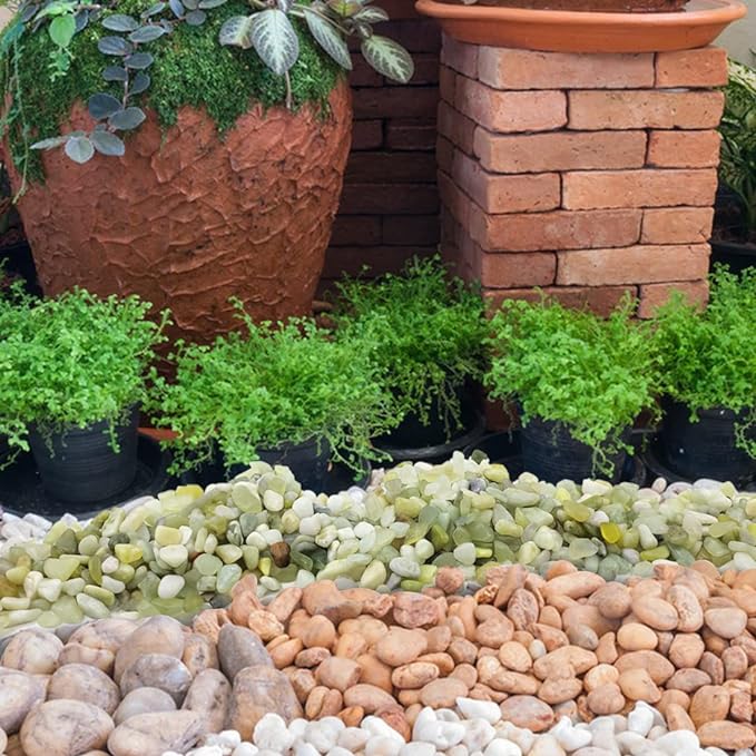 2LB Succulent and Cactus Pebbles, 1/5 Inch Jade Natural Decorative Polished Stones, River Rocks for for Indoor Plants, Vases, Planters and Outdoor Gardening-Ruum Studio Home