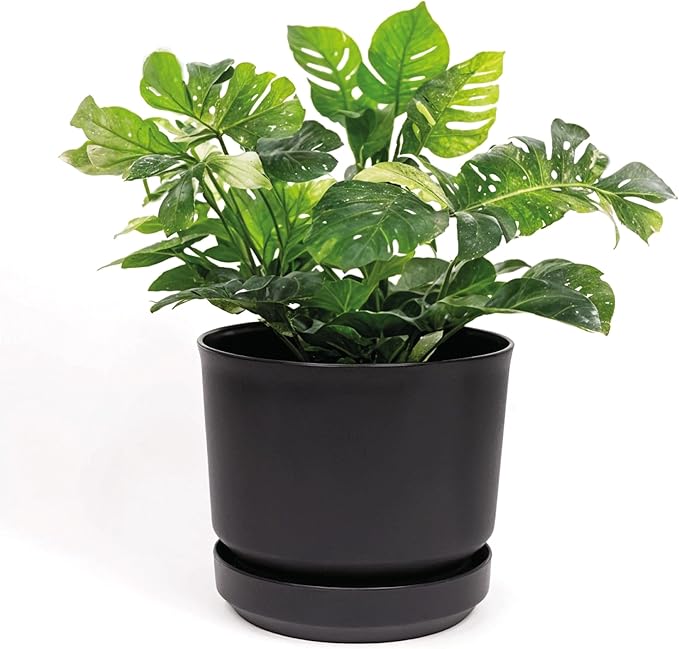 Elly Décor 8 inch Plastic Cylinder Planter Pot with Self-Watering Saucer and Drainage Hole,Lightweight & Extremely Durable, 8"x 8", Black-Ruum Studio Home
