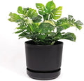 Elly Décor 8 inch Plastic Cylinder Planter Pot with Self-Watering Saucer and Drainage Hole,Lightweight & Extremely Durable, 8"x 8", Black-Ruum Studio Home