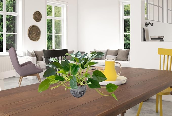 AlphaAcc Artificial Plants Potted Real Looking Small Faux Plant with Rustic Black Cement Planter for Kitchen Office Desk Bookshelf Decor (Ivy Plant)-Ruum Studio Home